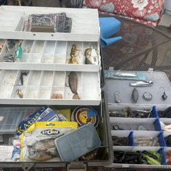 Vlcheck Plastic Adventure  2013 