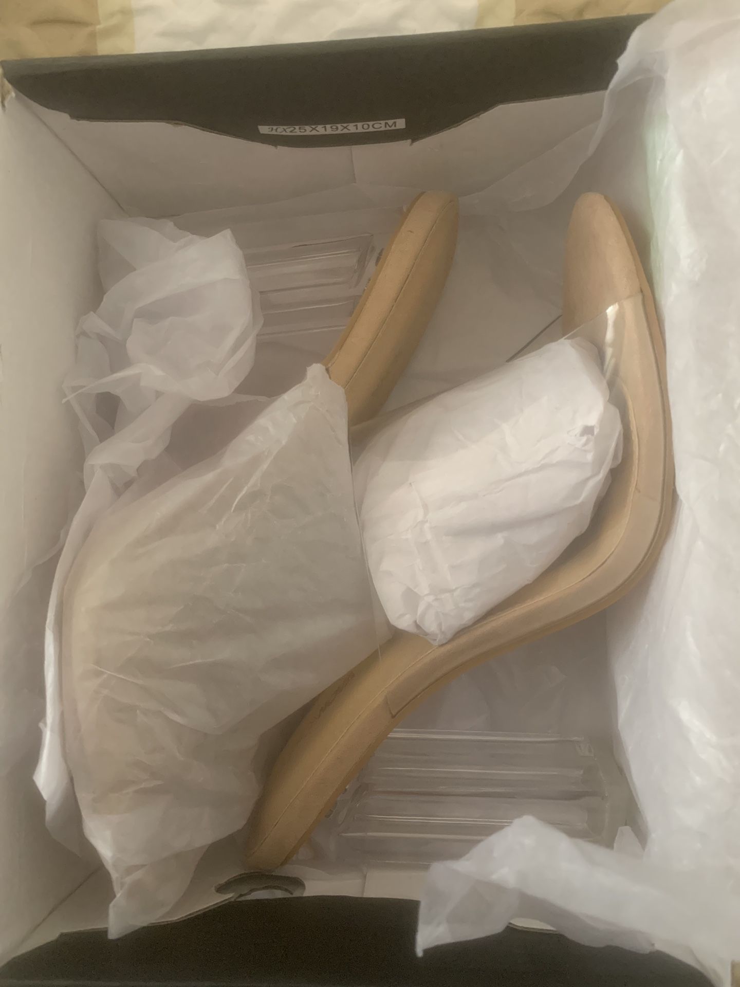 Clear Heels Fashion Nova