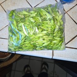 Tengo plata de loroco