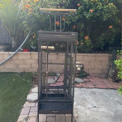 3 Bird Cages