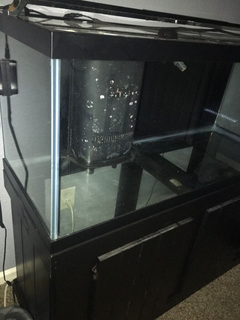 75 gallon saltwater aquarium for Sale in The Woodlands, TX OfferUp
