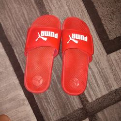 Puma Slides