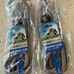 Cesar Millan Slip Lead Leash™ - 2-in-1 Slip Collar Dog Training Lead & Collar | Heavy Duty Durable Weatherproof Rope Leash, No Pull Training | Length 