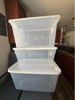 Storage bins with lids