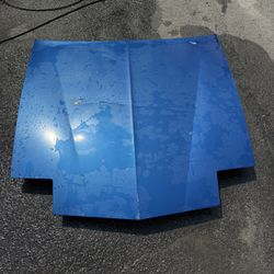 1991 Pontiac Firebird Hood