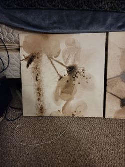 Flower Painting Set