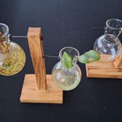  1 double and 1 single Plant Terrarium with Wooden Stand Sets. Desktop Propagation Stations Glass Air Planter Metal Swivel Holder 