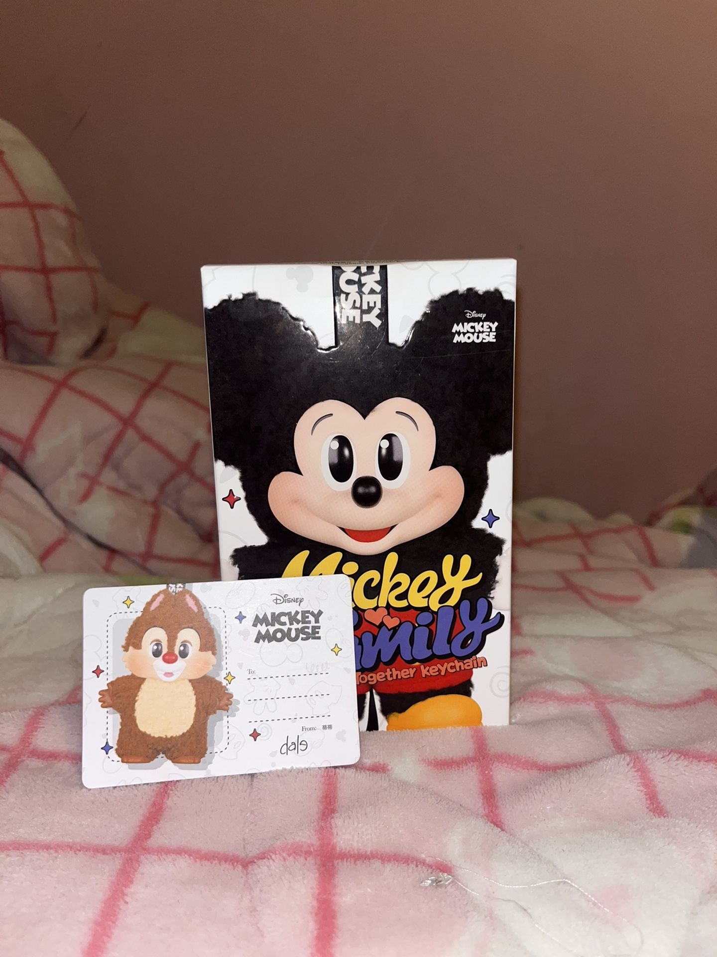 Mickey Family 