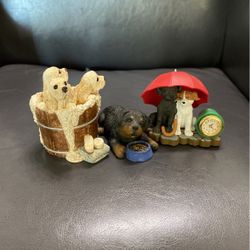 Rottweiler cavalier and mix puppy set 