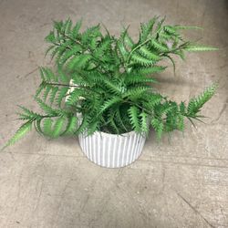 Small Faux House Plant 