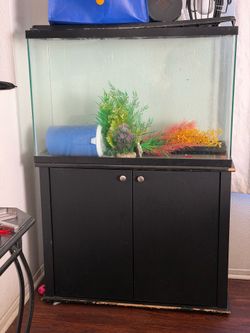 Fish tank with stand