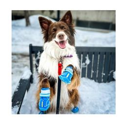 Dog Shoes for Large Dogs, Medium Dog Boots & Paw Protectors for Winter Snowy Day, Summer Hot Pavement, Waterproof in Rainy Weather, Outdoor Walking,