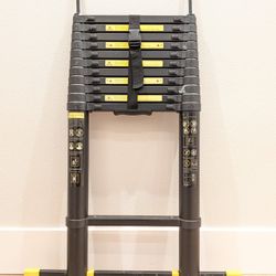 Telescopic Ladder