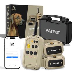 Two Dog Training Collars 