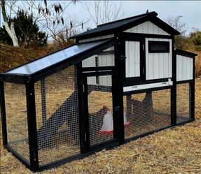 NEW COOP IN BOX