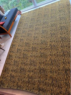 Beautiful area rugs matching pair