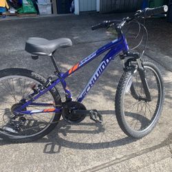 Schwinn Ranger Mountain Bike 24”