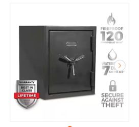 BRAND NEW IN BOX Shop SANCTUARY Platinum 3.32 cu. ft. Fireproof/Waterproof Home and Office Safe w/ Biometric Lock, Dark Gray Metallic Finish