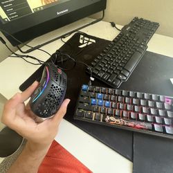 Ducky 1 2 Mini Brown Switches and Black Glorious Model Mouse