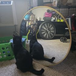 28" GOLD TRIMMED CIRCLE MIRROR