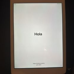 iPad With Leather Carrying Case