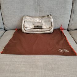 Coach Metallic Purse