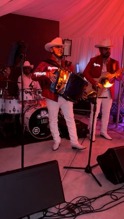 Norteño accordion grupo