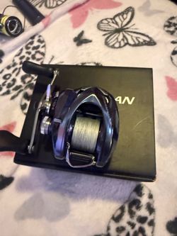 shimano  dobyns  lamiglass