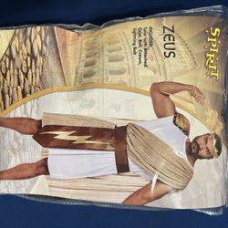 Zeus (Greek God) Men’s Halloween Costume