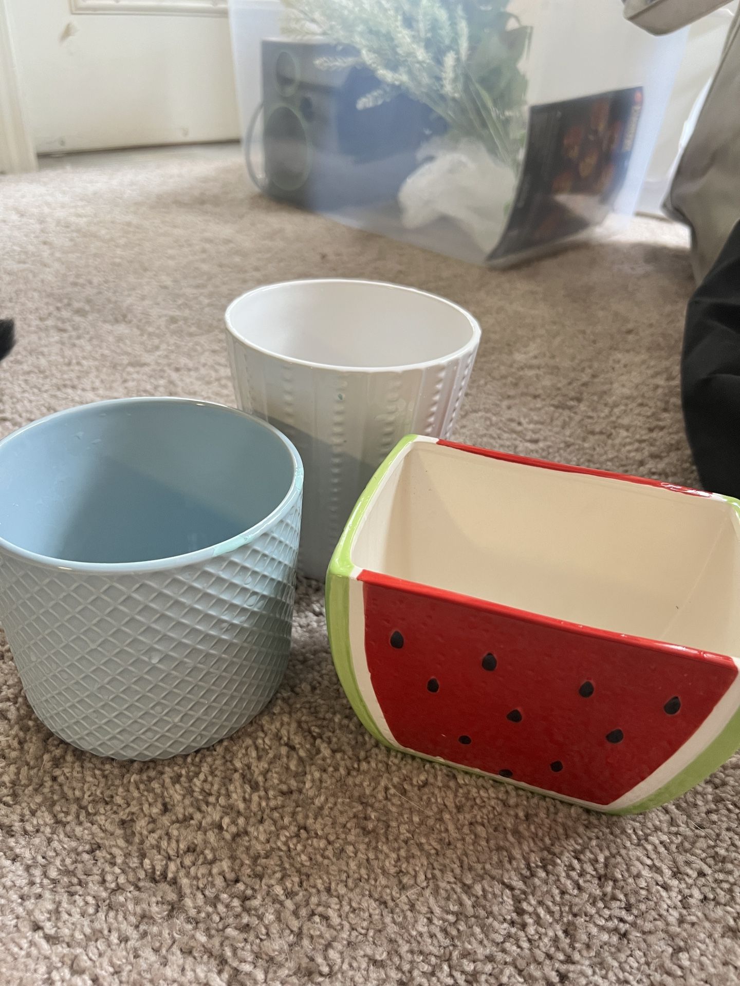 Ceramic Planter Pots