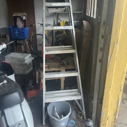 6 Ft Ladders 