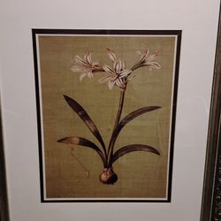 Picture With Frame. Best Offers Considered 