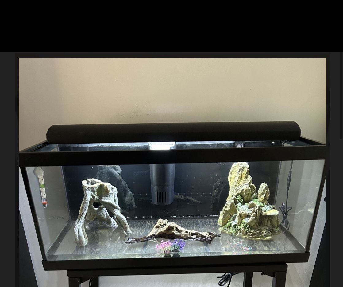 20 GALLON LONG TANK WITH EXTRAS