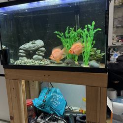 30 Gallons Fish Tank