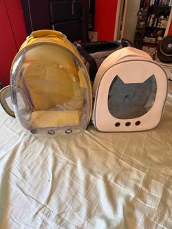 Cat back packs
