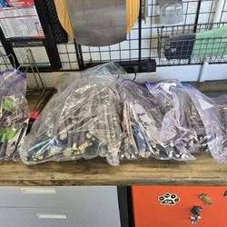 Fig Cuttings, Kadota,Olympian, Excel,Brown  Turkey and Yellow  Longneck.....#5 For 