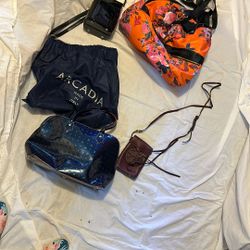 4 Multiple Brand Name Purses And Bags