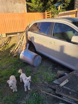 Need this car gone!  Free!