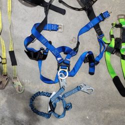 Fall Protection Harness