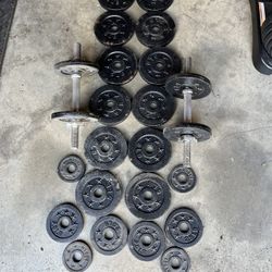 Standard Weights with Dumbbells Bars
