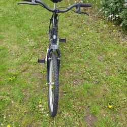 The Original Autobike