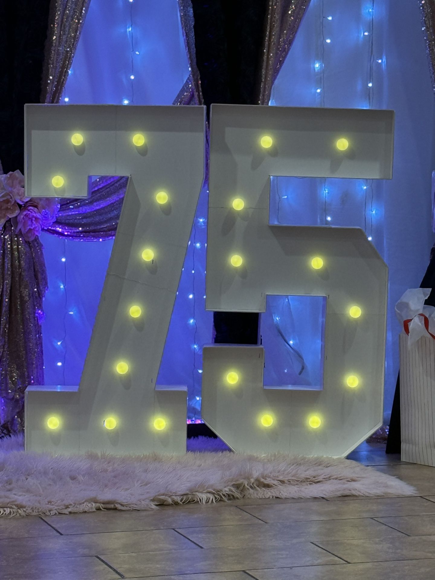 LED Numbers 7 & 5