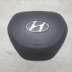 HYUNDAI SANTA FE DRIVER SIDE 2019-2020-2021-2022-2023