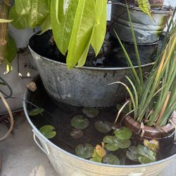 Solar-powered Homemade Water Feature Fountain With Plants