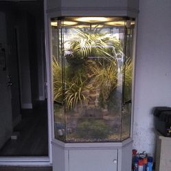 Fish Tank Waterfall Terrarium