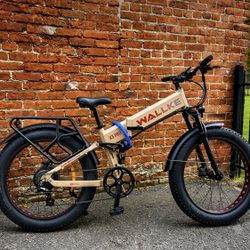Fat Tire E-bike 
