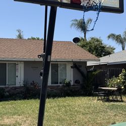 Free Basketball Hoop 