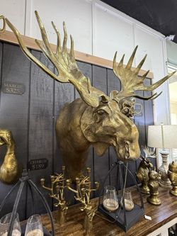 Large Moose Head Mount