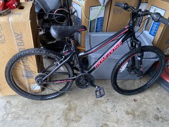 24in Bike