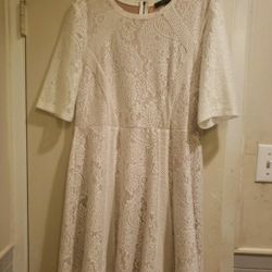 BCBG Dress